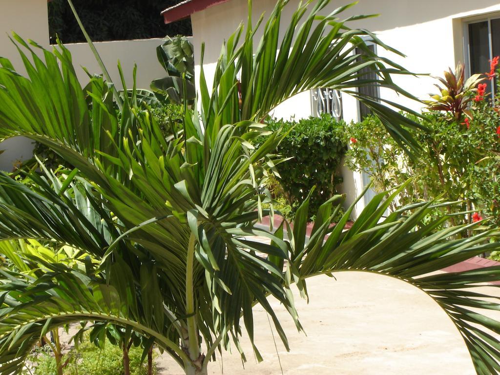 Kotu Island Lodge Eksteriør billede